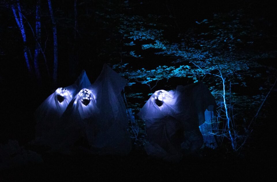Cie Pernette<br><span style="font-size:12px">Wi la peau des arbres, Savoie 2026